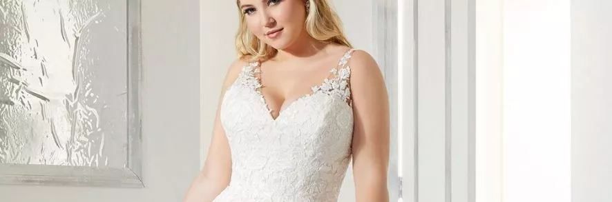 A Celebration of Curves